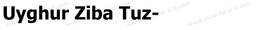 Uyghur Ziba Tuz字体转换